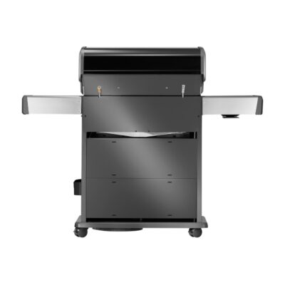 Napoleon Rogue® PRO-S 525 Schwarz Propan Gasgrill Back Rückseite RP525RSIBPK-2