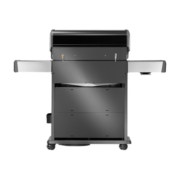 Napoleon Rogue® PRO-S 525 Schwarz Propan Gasgrill Back Rückseite RP525RSIBPK-2