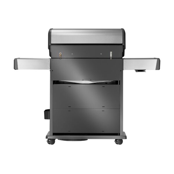 Napoleon Rogue® PRO-S 525 Edelstahl Propan Gasgrill Back Rückseite RP525RSIBPSS-2