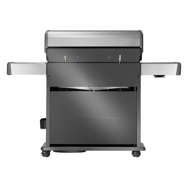 Napoleon Rogue® PRO-S 625 Propan Gasgrill Back Rückseite RP625RSIBPSS-2