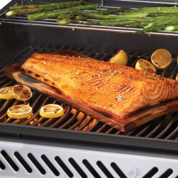 Napoleon Rogue® PRO-S 625 Propan Gasgrill RP625RSIBPSS-2